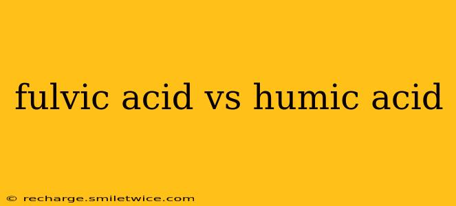 fulvic acid vs humic acid