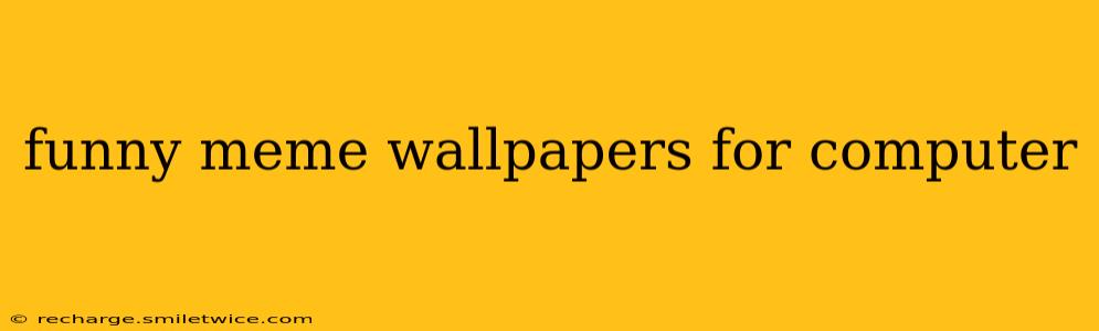 funny meme wallpapers for computer