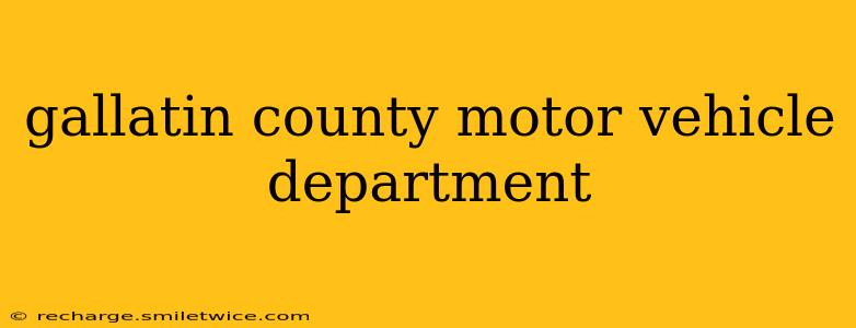 gallatin county motor vehicle department