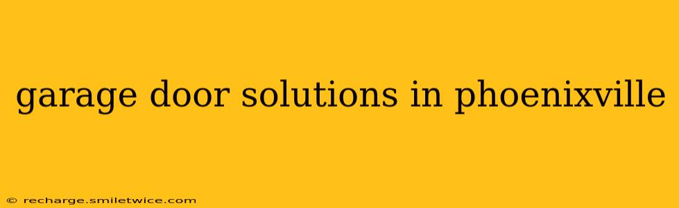 garage door solutions in phoenixville