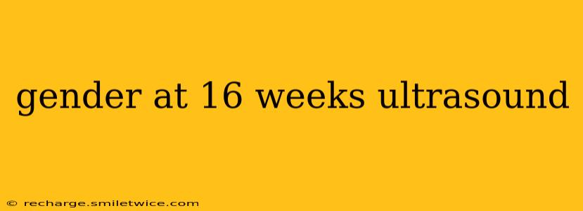 gender at 16 weeks ultrasound