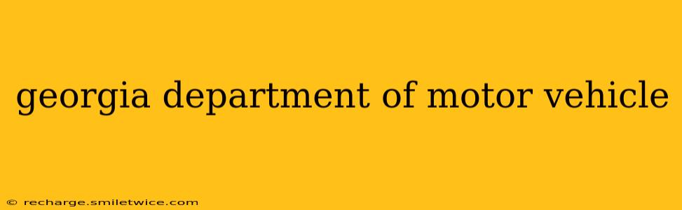 georgia department of motor vehicle
