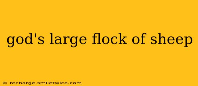 god's large flock of sheep