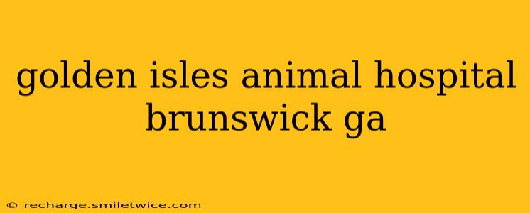 golden isles animal hospital brunswick ga