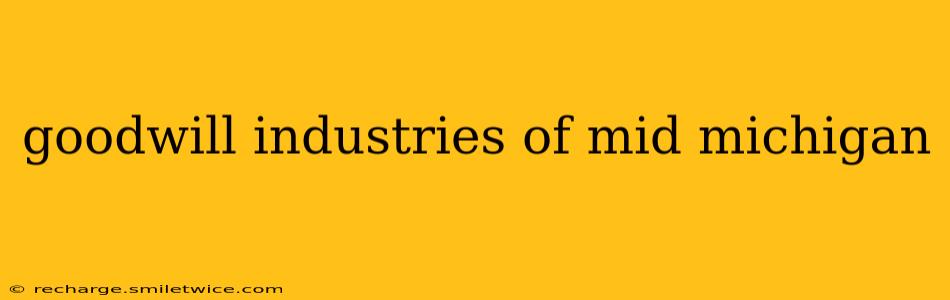 goodwill industries of mid michigan