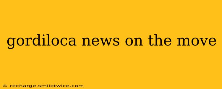 gordiloca news on the move
