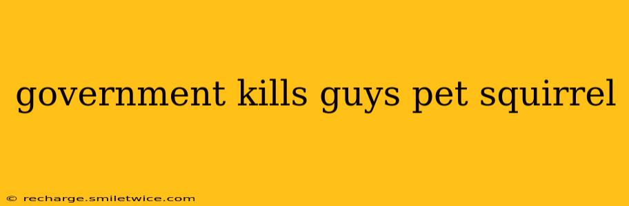 government kills guys pet squirrel