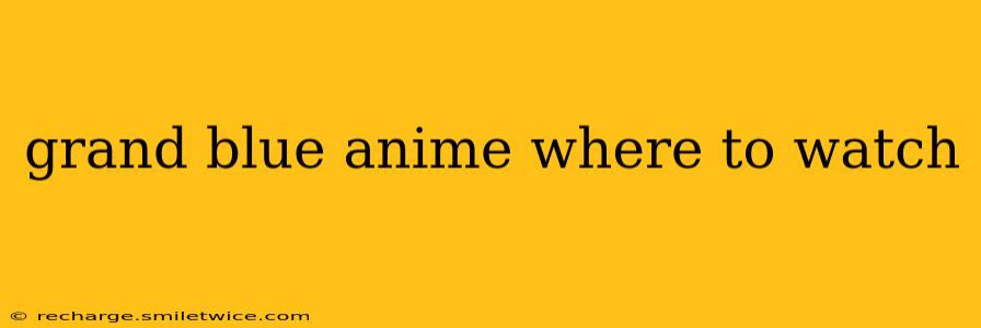 grand blue anime where to watch
