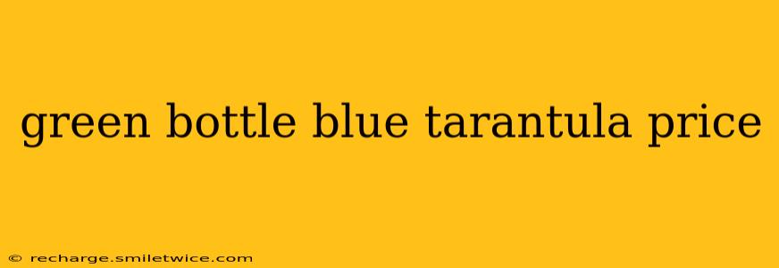 green bottle blue tarantula price