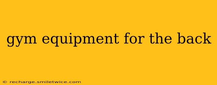 gym equipment for the back