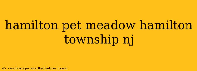 hamilton pet meadow hamilton township nj