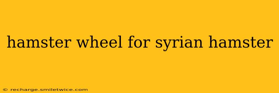 hamster wheel for syrian hamster
