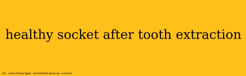 healthy socket after tooth extraction