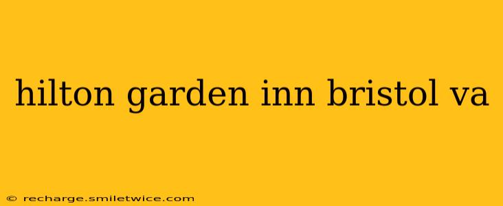 hilton garden inn bristol va