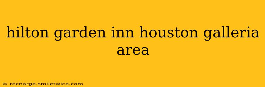 hilton garden inn houston galleria area