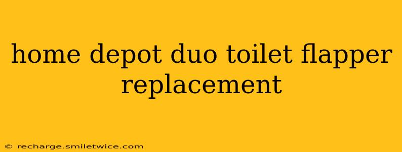 home depot duo toilet flapper replacement