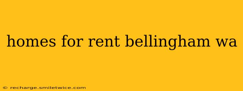 homes for rent bellingham wa