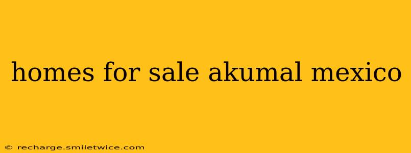 homes for sale akumal mexico