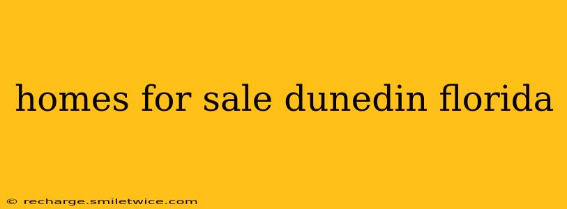 homes for sale dunedin florida