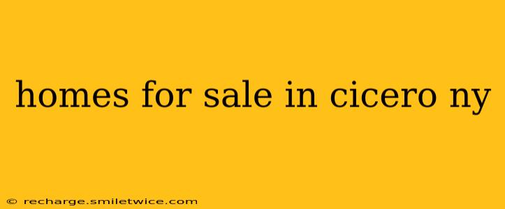 homes for sale in cicero ny
