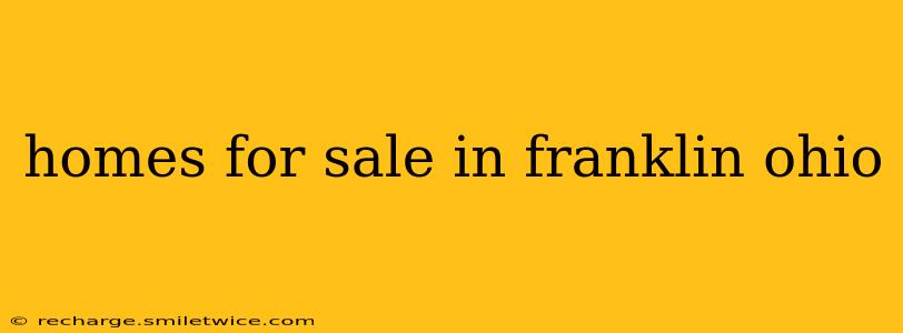 homes for sale in franklin ohio