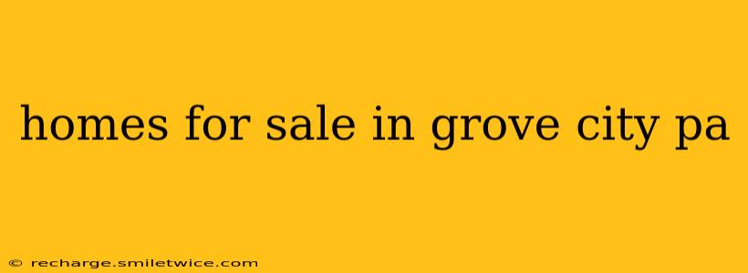 homes for sale in grove city pa