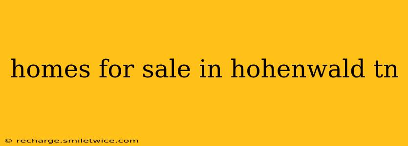homes for sale in hohenwald tn