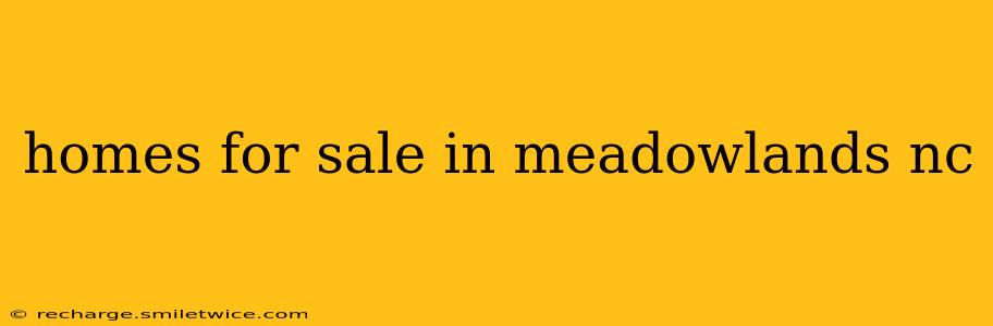 homes for sale in meadowlands nc