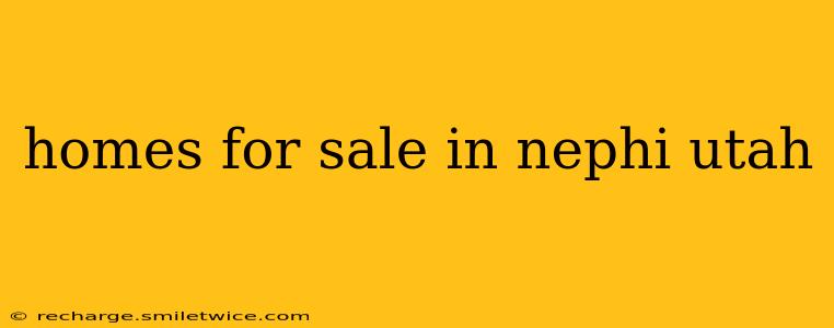 homes for sale in nephi utah