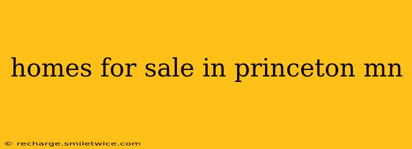 homes for sale in princeton mn