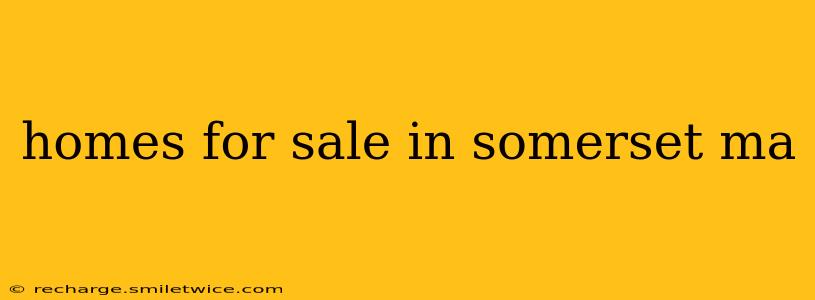 homes for sale in somerset ma