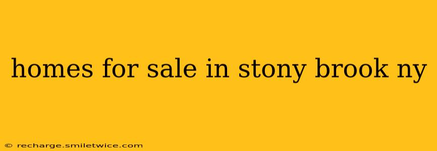 homes for sale in stony brook ny