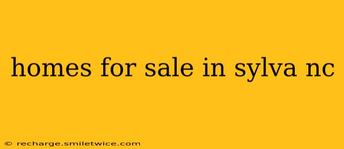 homes for sale in sylva nc
