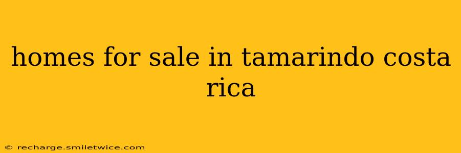 homes for sale in tamarindo costa rica