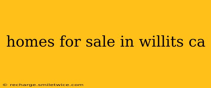 homes for sale in willits ca