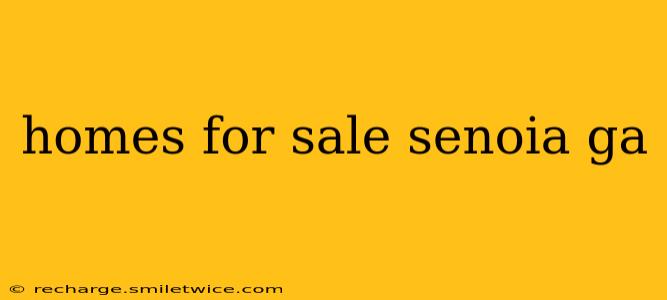 homes for sale senoia ga