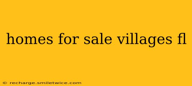 homes for sale villages fl