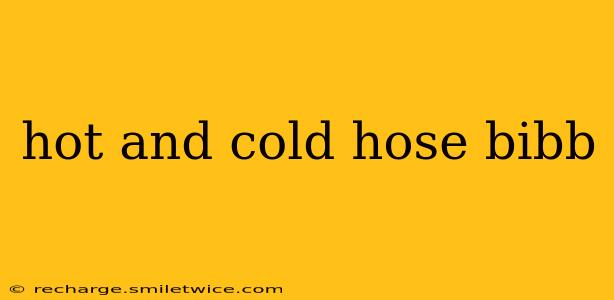 hot and cold hose bibb