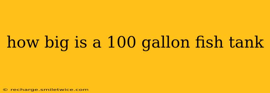 how big is a 100 gallon fish tank