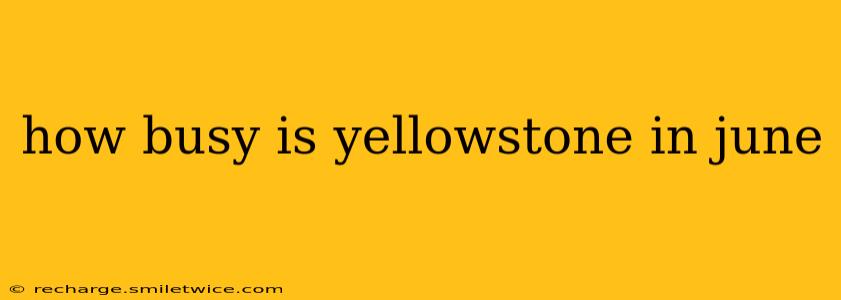 how busy is yellowstone in june