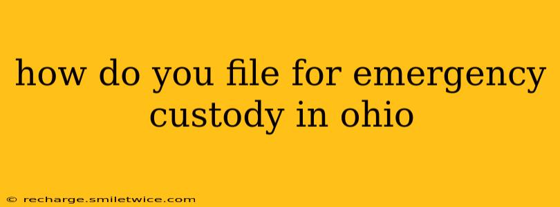 how do you file for emergency custody in ohio
