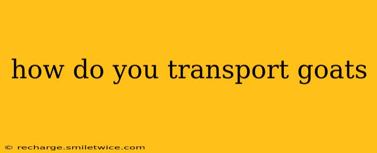 how do you transport goats