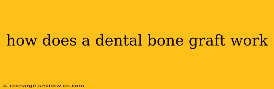 how does a dental bone graft work