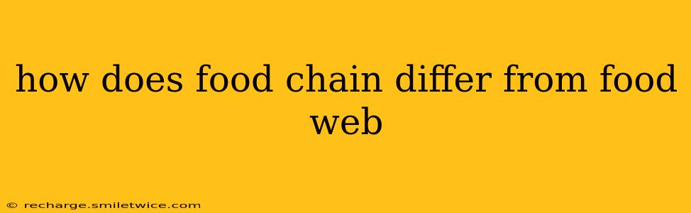 how does food chain differ from food web