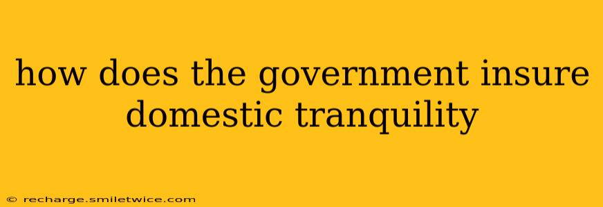 how does the government insure domestic tranquility