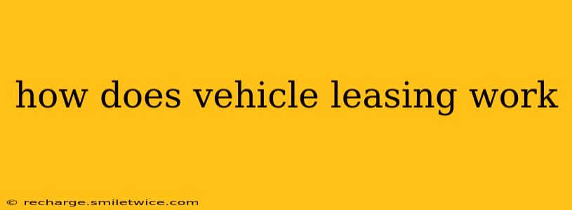how does vehicle leasing work