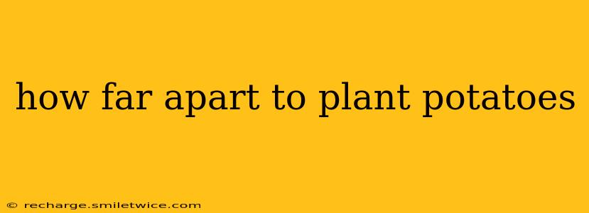 how far apart to plant potatoes