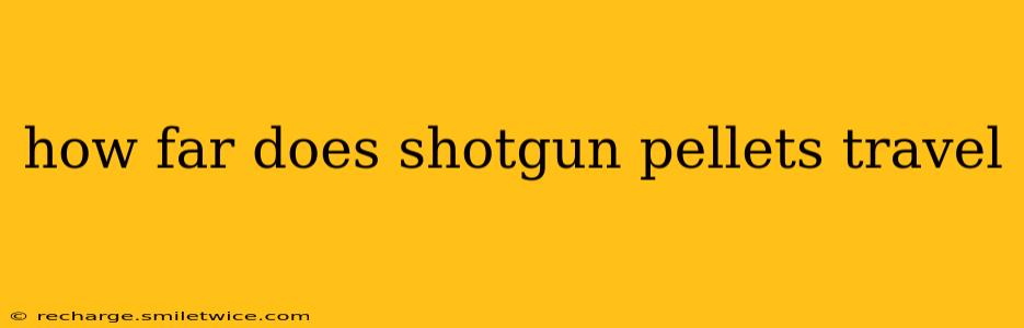 how far does shotgun pellets travel