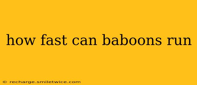 how fast can baboons run
