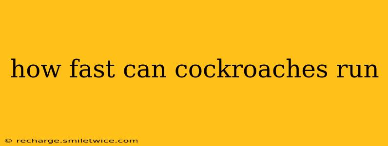 how fast can cockroaches run